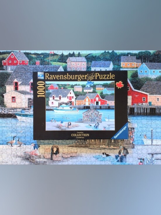 Ravensburger Other - Coastal Village - 1000 Piece Puzzle